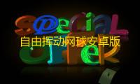 自由挥动网球安卓版